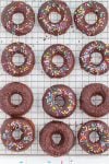 Chocolate donuts with rainbow and chocolate sprinkles on wire cooling rack