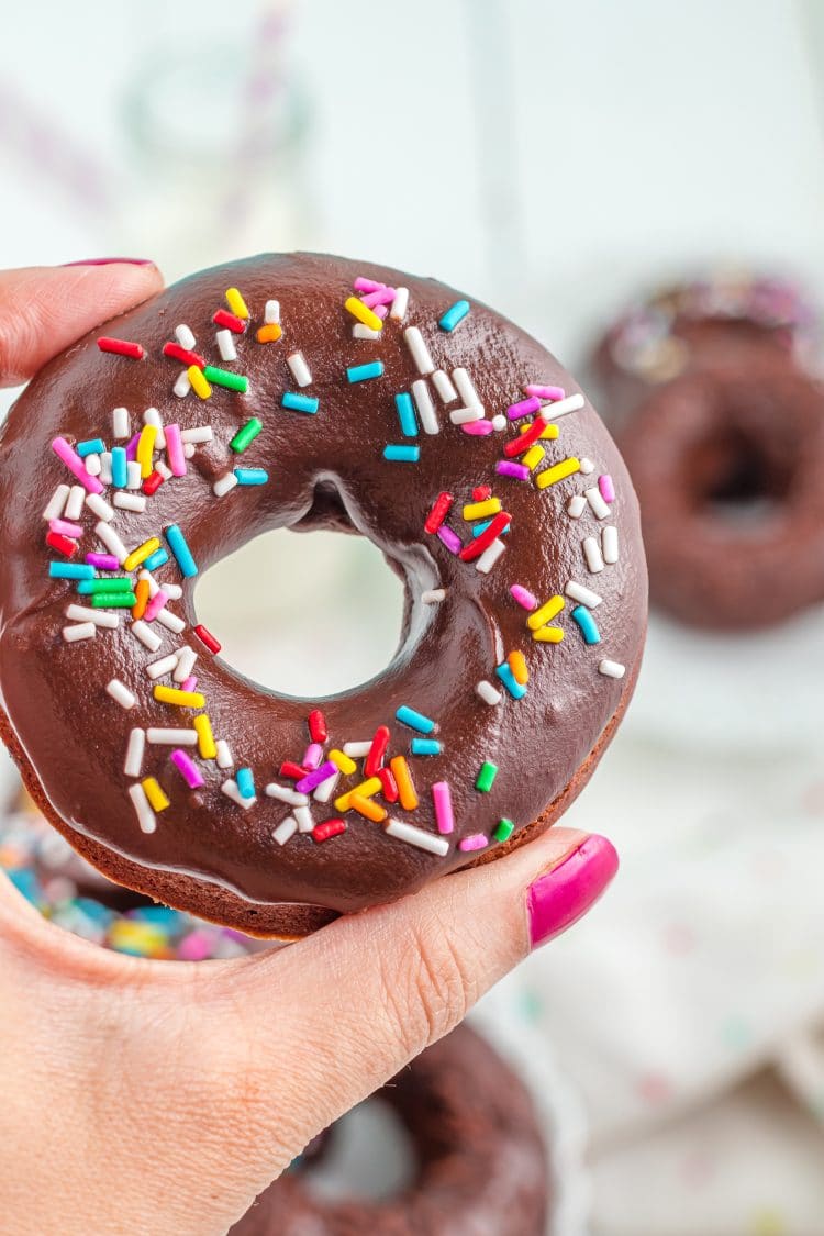 Close up of hand holding chocolate frosted donut with sprinkles