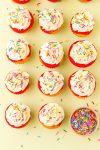 Rainbow Cupcakes with rainbow sprinkles on a yellow background