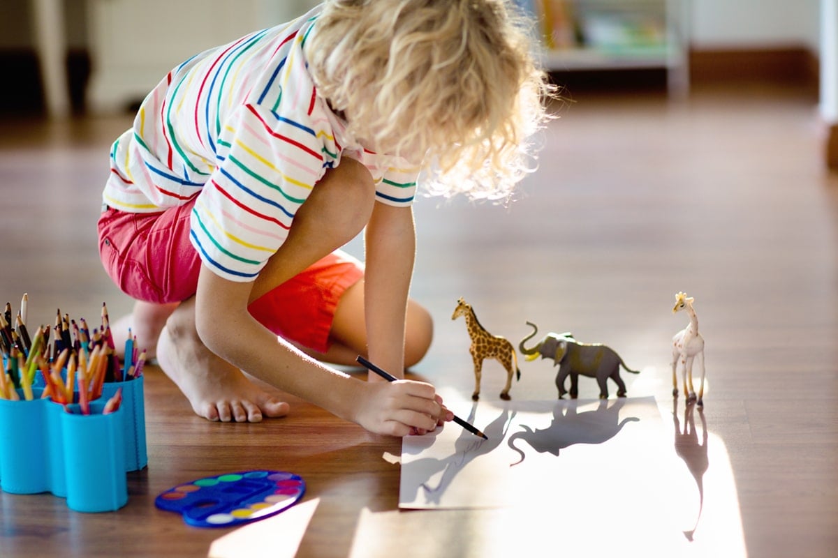 Child shadow drawing animals. Little boy painting giraffe and elephant in sunny bedroom. 