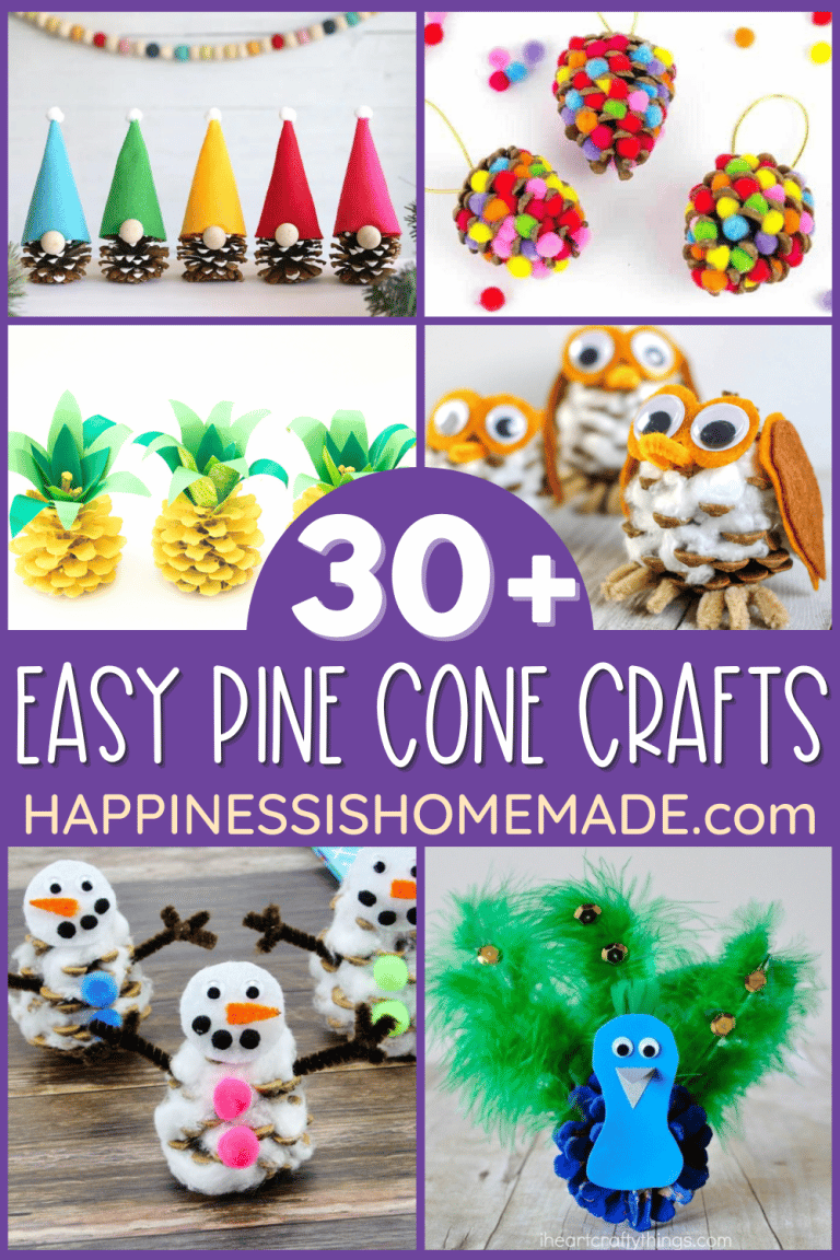 30+ Pine Cone Crafts for Kids & Adults