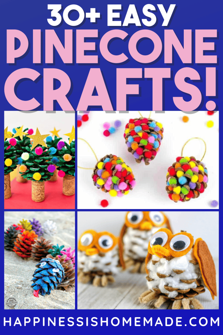 Short Pin graphic of 30 + pine cone crafts