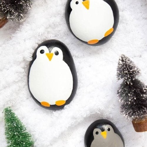 penguin rocks