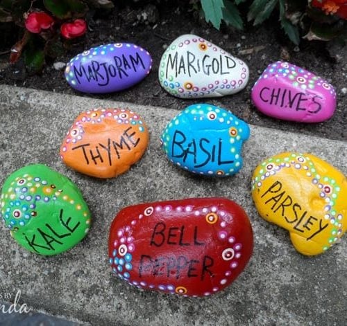 rocks painted with names of garden plants printed on them
