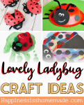 Lovely Ladybug Craft Ideas facebook image