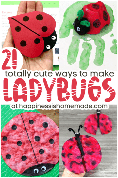 21 Totally cute ways to make ladybugs pin graphic