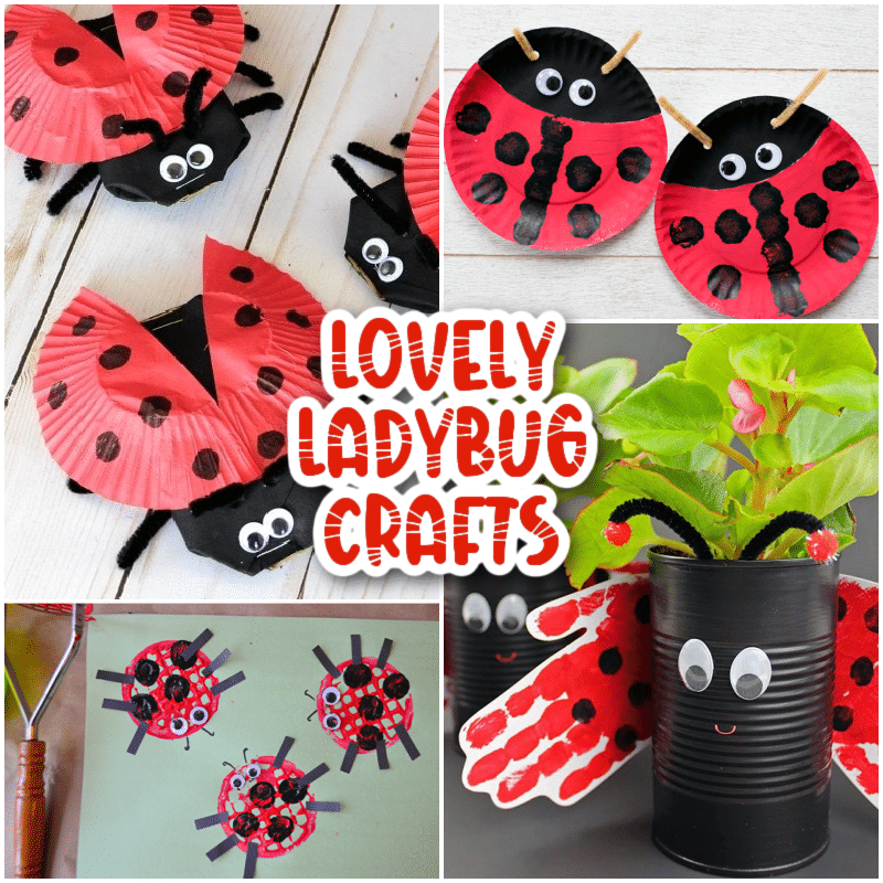 Lovely Ladybug Crafts collage image