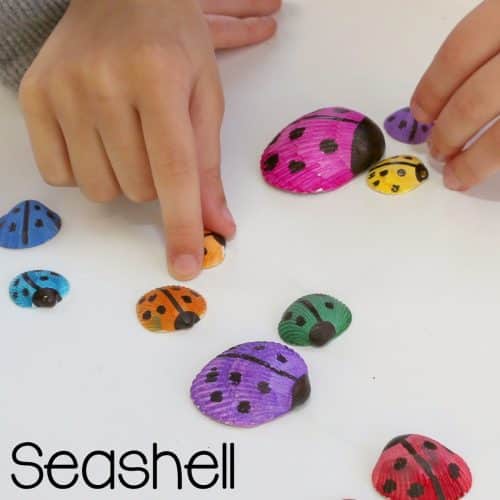 seashells painted as lady bugs craft with hands in picture