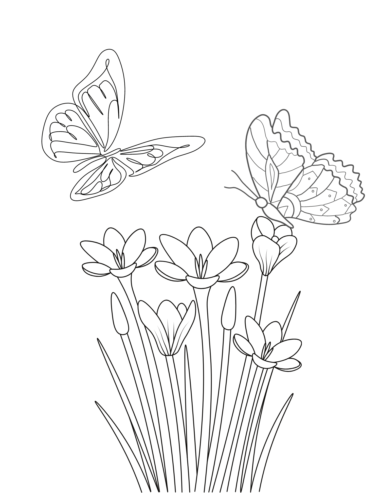 Pretty butterfly coloring sheet