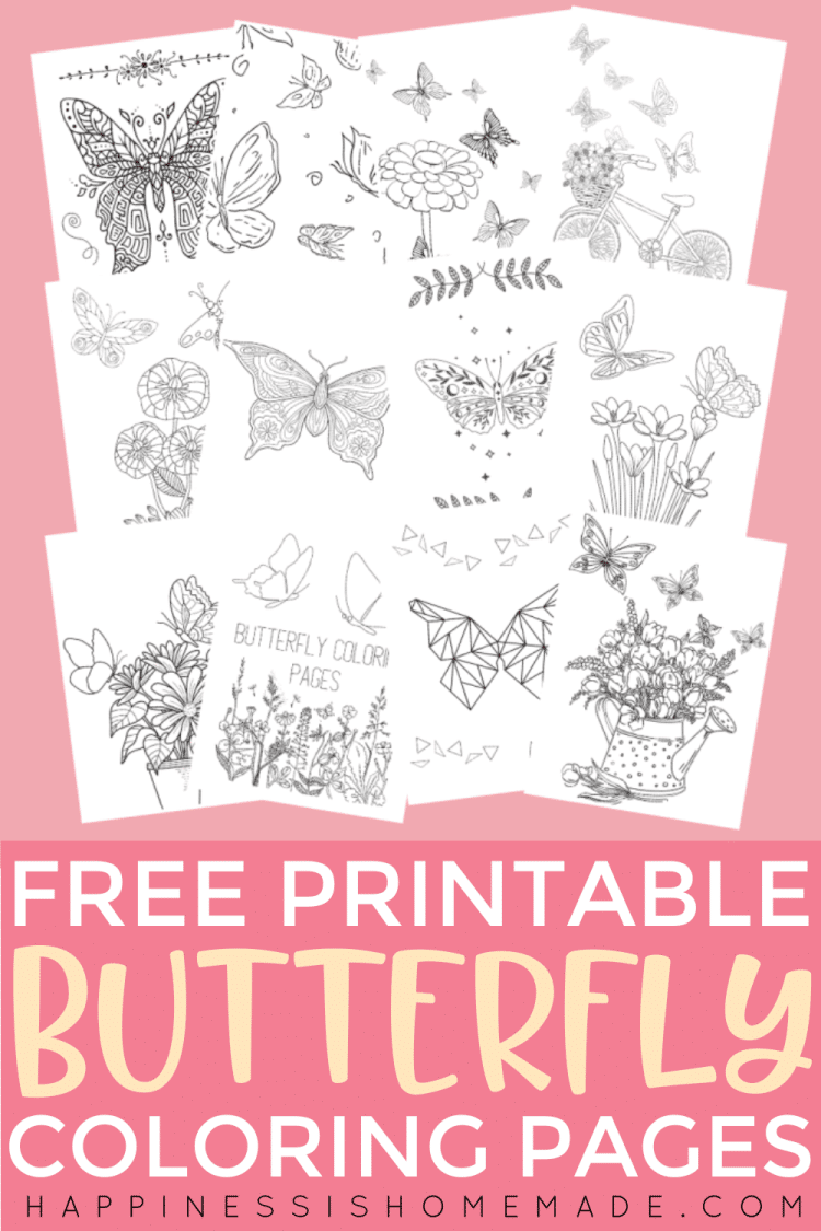 Free printable butterfly coloring pages pin graphic