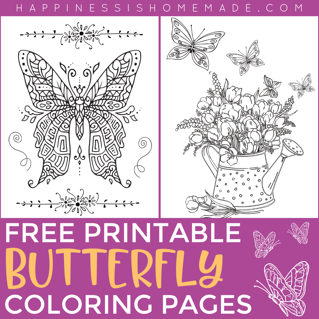 Free printable butterfly coloring pages graphic