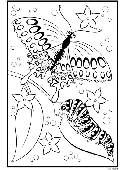 Caterpillar and butterfly free printable coloring sheets