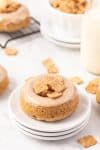 Decorated cereal donuts