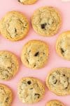 Yummy pudding cookies laid out