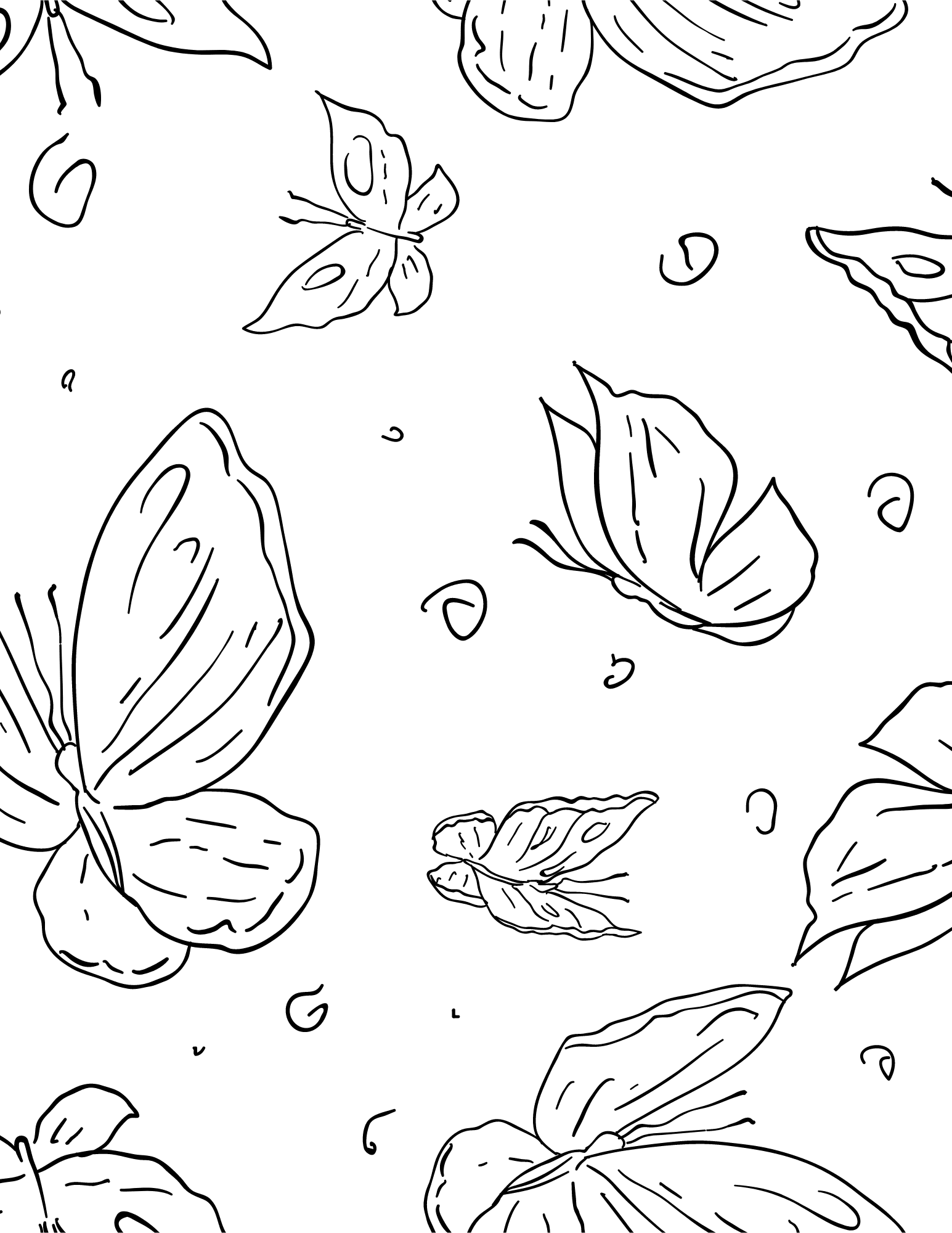 Pretty butterfly coloring sheets with different wing patterns