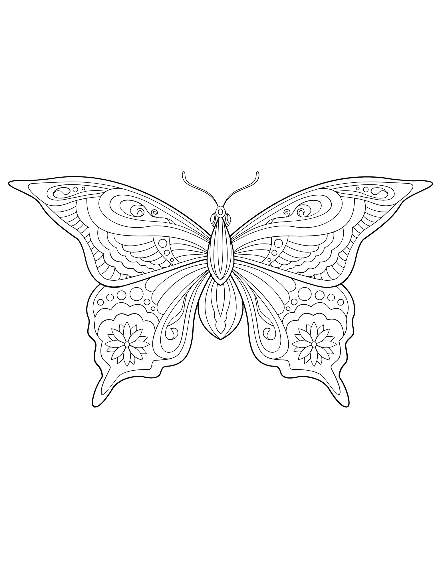 Colorable butterfly picture
