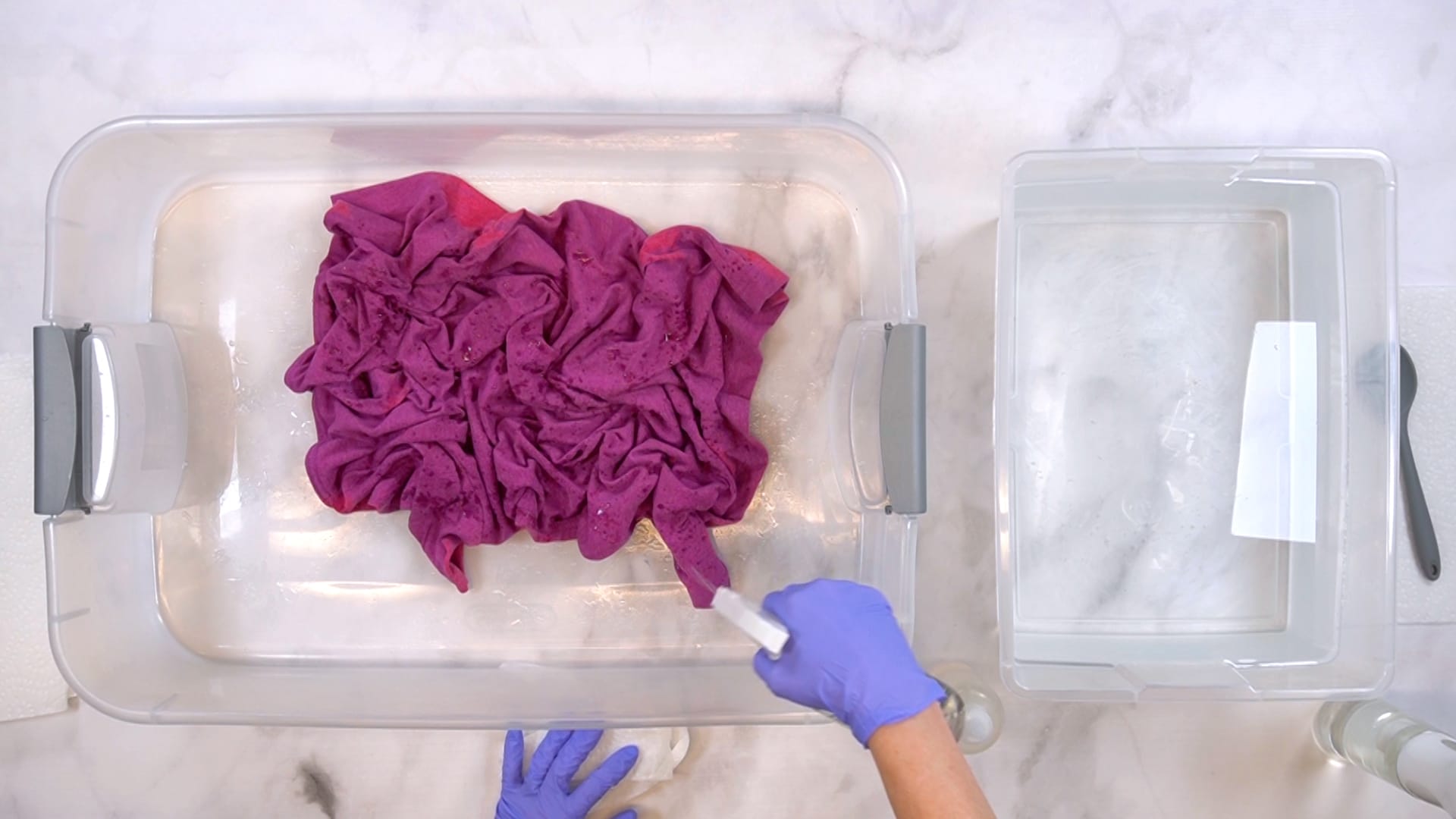 Hands wearing purple gloves spraying bleach solution on a purple shirt in a plastic tub