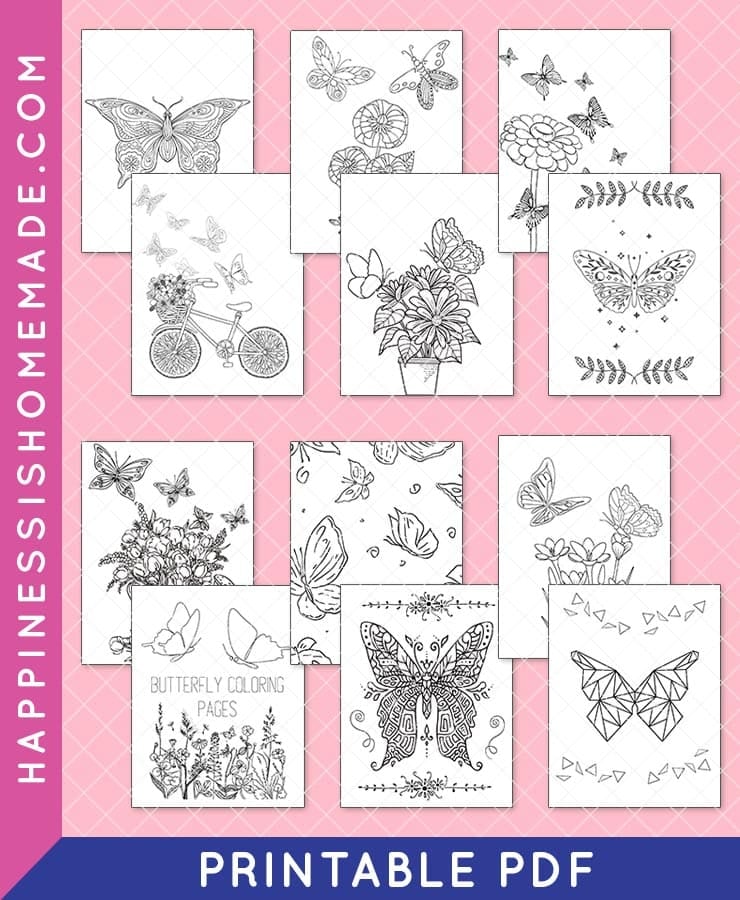 butterfly coloring pages shop collection