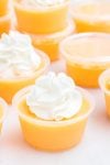 easy to make orange jello shots