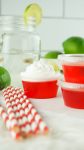 delicious and refreshing jello shots