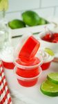 summer dirty shirley jello shots