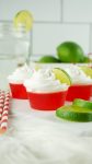 set of dirty shirley jello shots