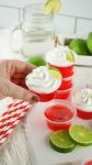 the best jello shots ever