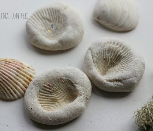 kids craft shell imprints making fossils