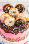 fun confetti sprinkled donut cake