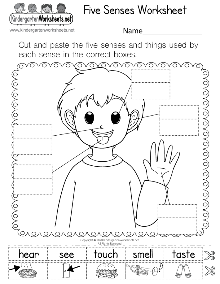 Five senses worksheet printable for kids