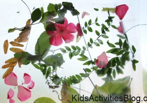 DIY nature collage sun catcher craft for kids