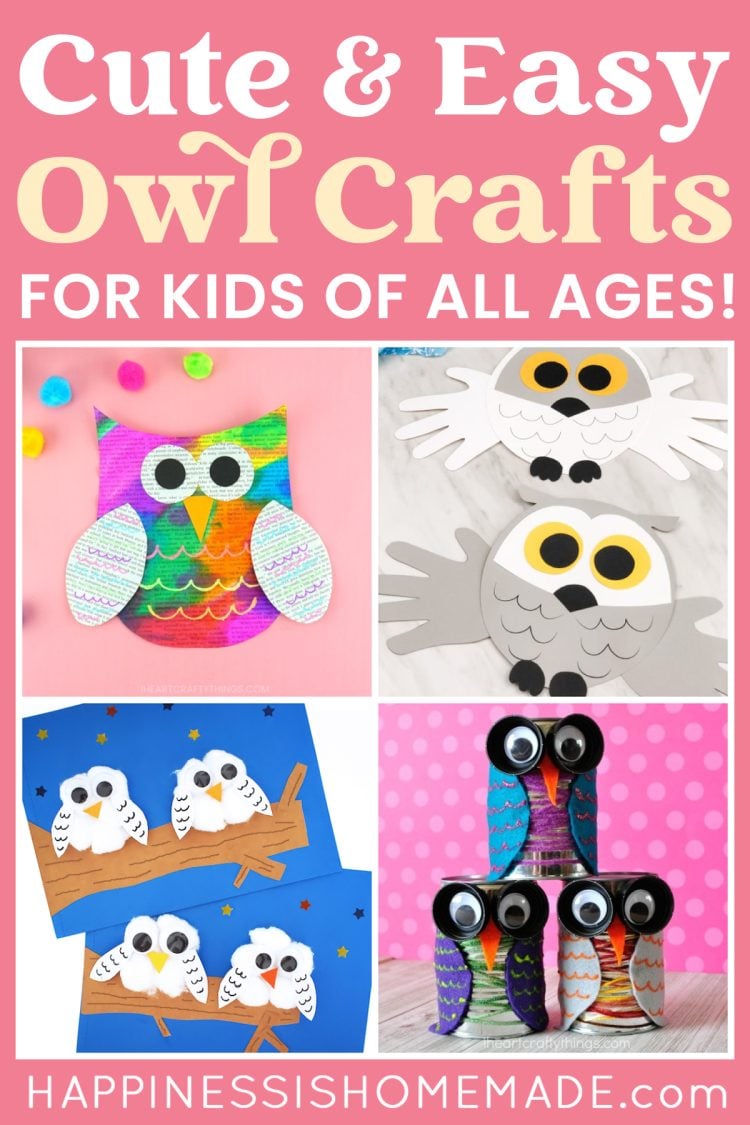 "Cute & Easy Owl Crafts for Kids of All Ages!" graphic with text and four example owl craft project ideas