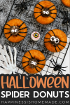Halloween Spider Donuts Pin graphic