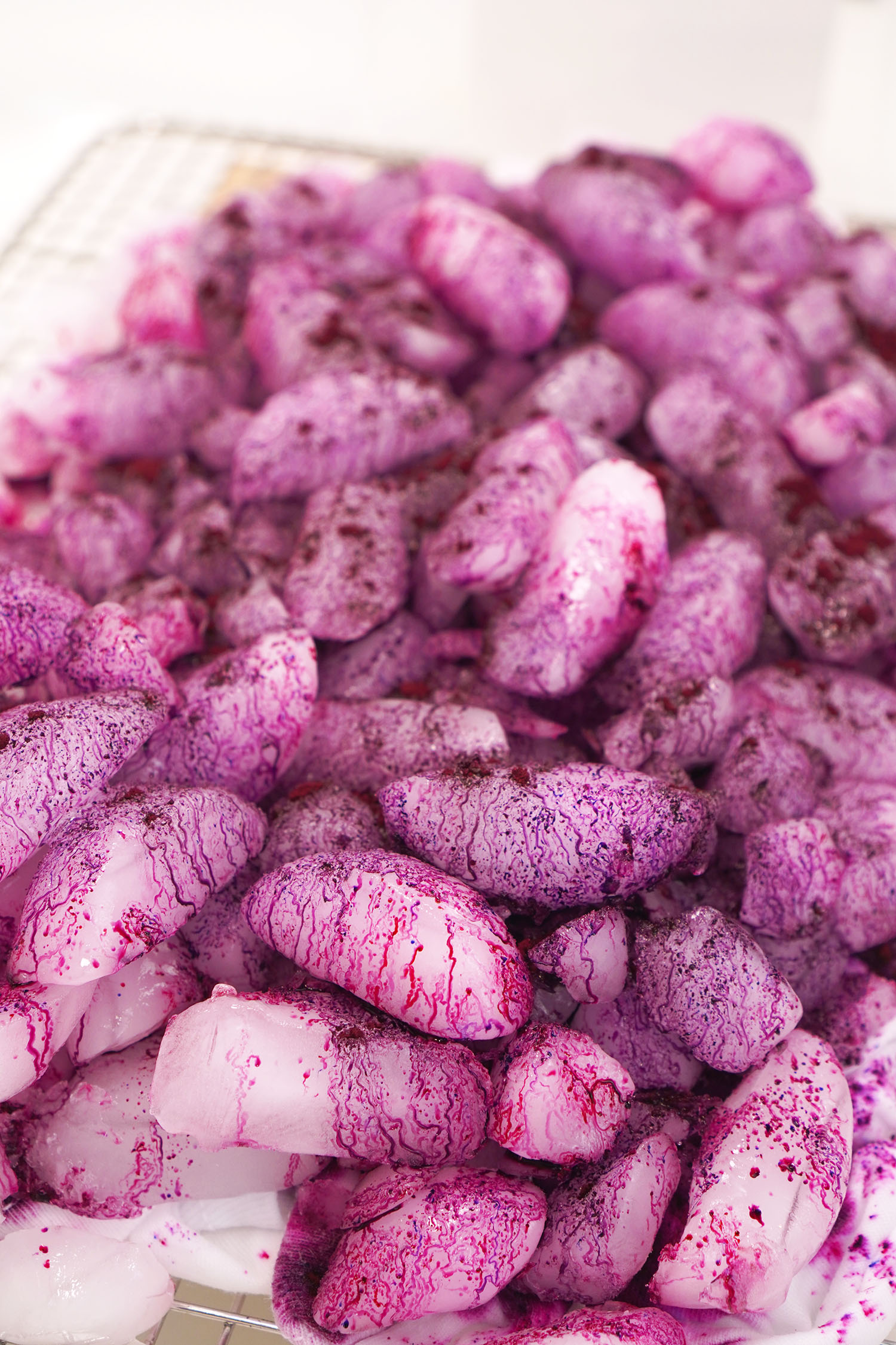 Powdered magenta colored dye sprinkled over ice for ice dye process