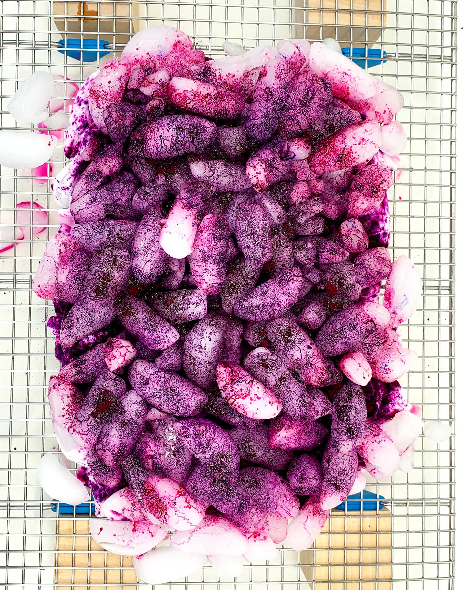 Powdered magenta and purple colored dyes sprinkled over ice for ice dye process