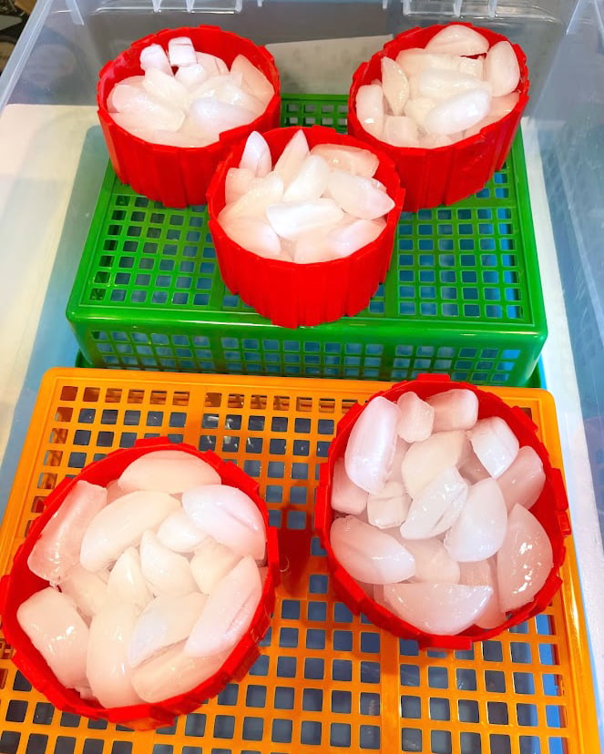 Ice in red silicone rings sitting atop colorful mesh baskets for ice dyeing