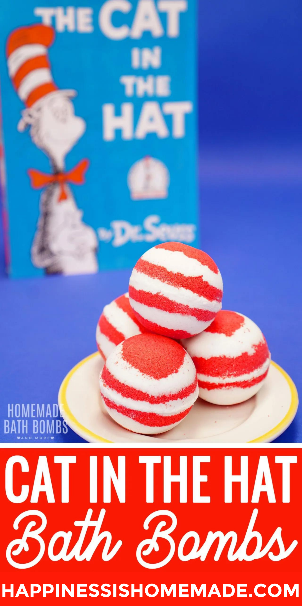 cat in the hat bath bombs pin graphic