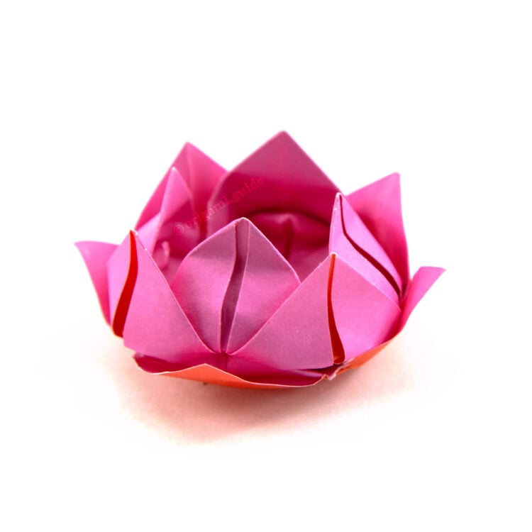 easy origami lotus flower in pink