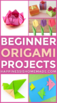 beginner origami projects