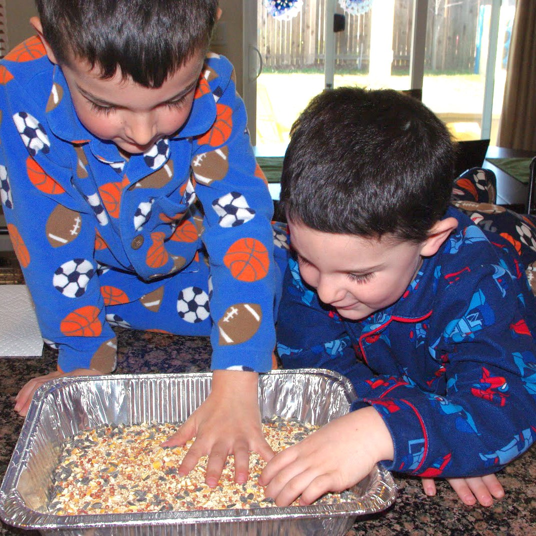 young boys placing their hands into a large dish of bird seed