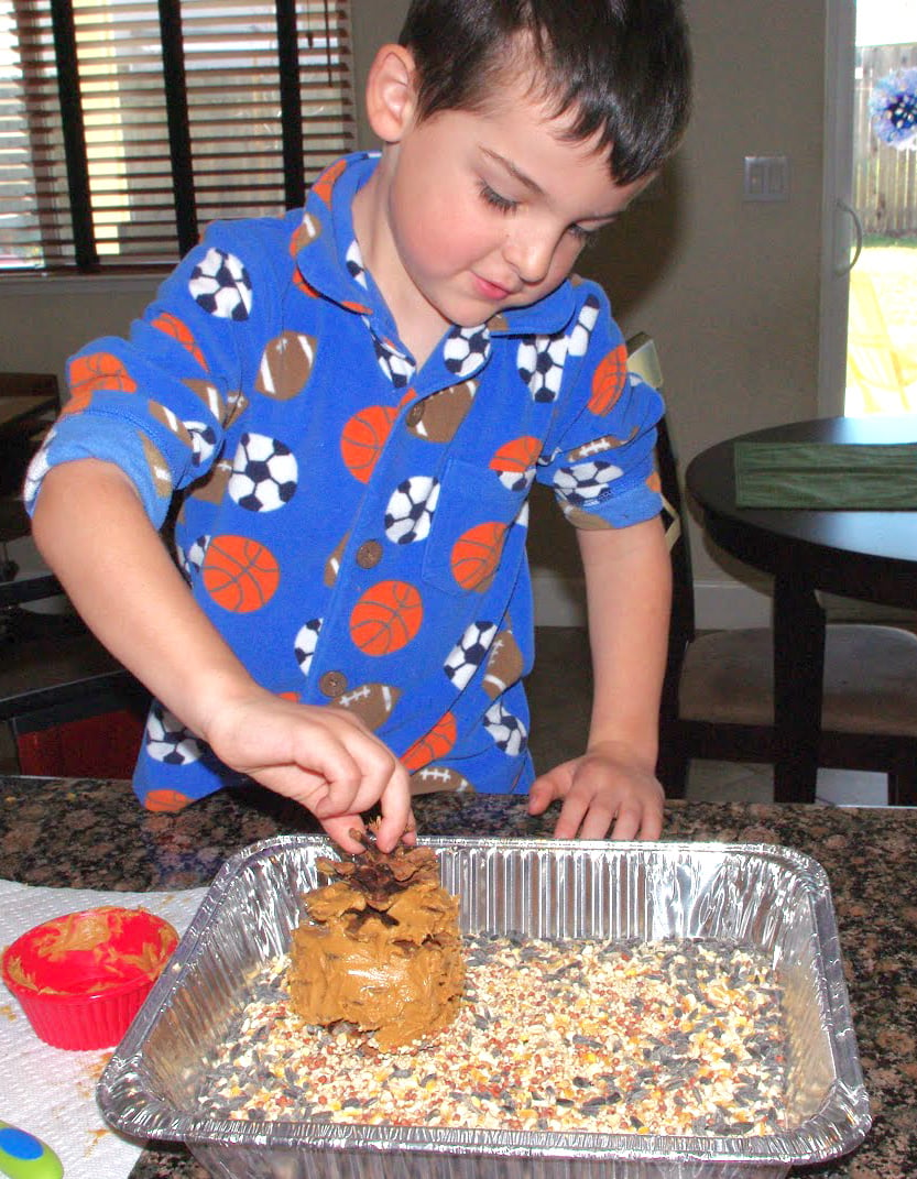 boy rolling pine cone in bird seed