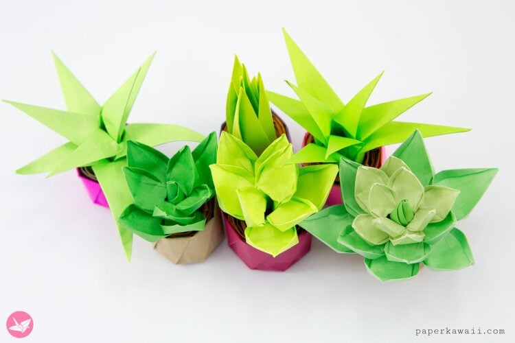 mini origami succulent plants