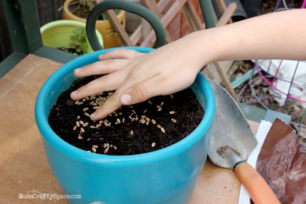 little hands planting seeds in pot