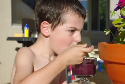 blackberry sorbet being enjoyed by child