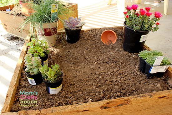 Make Your Own Fairy Garden Happiness Is Homemade