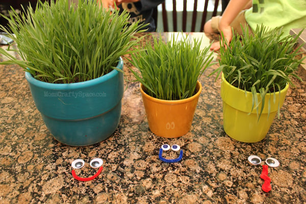 grass sprouting from colorful pots with pieces for faces nearby