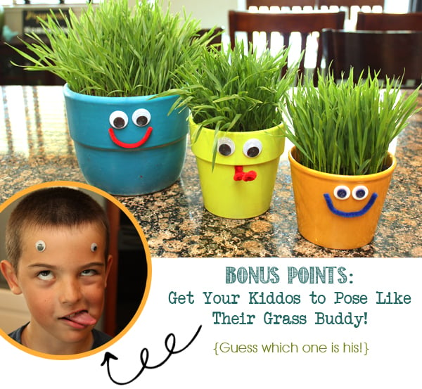 bonus points - get your kiddos to pose like their grass buddies (with photo example)
