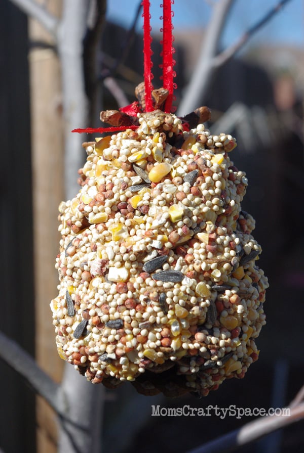 pinecone bird feeder covered in bird seed