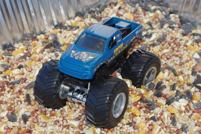 toy car in bird seed