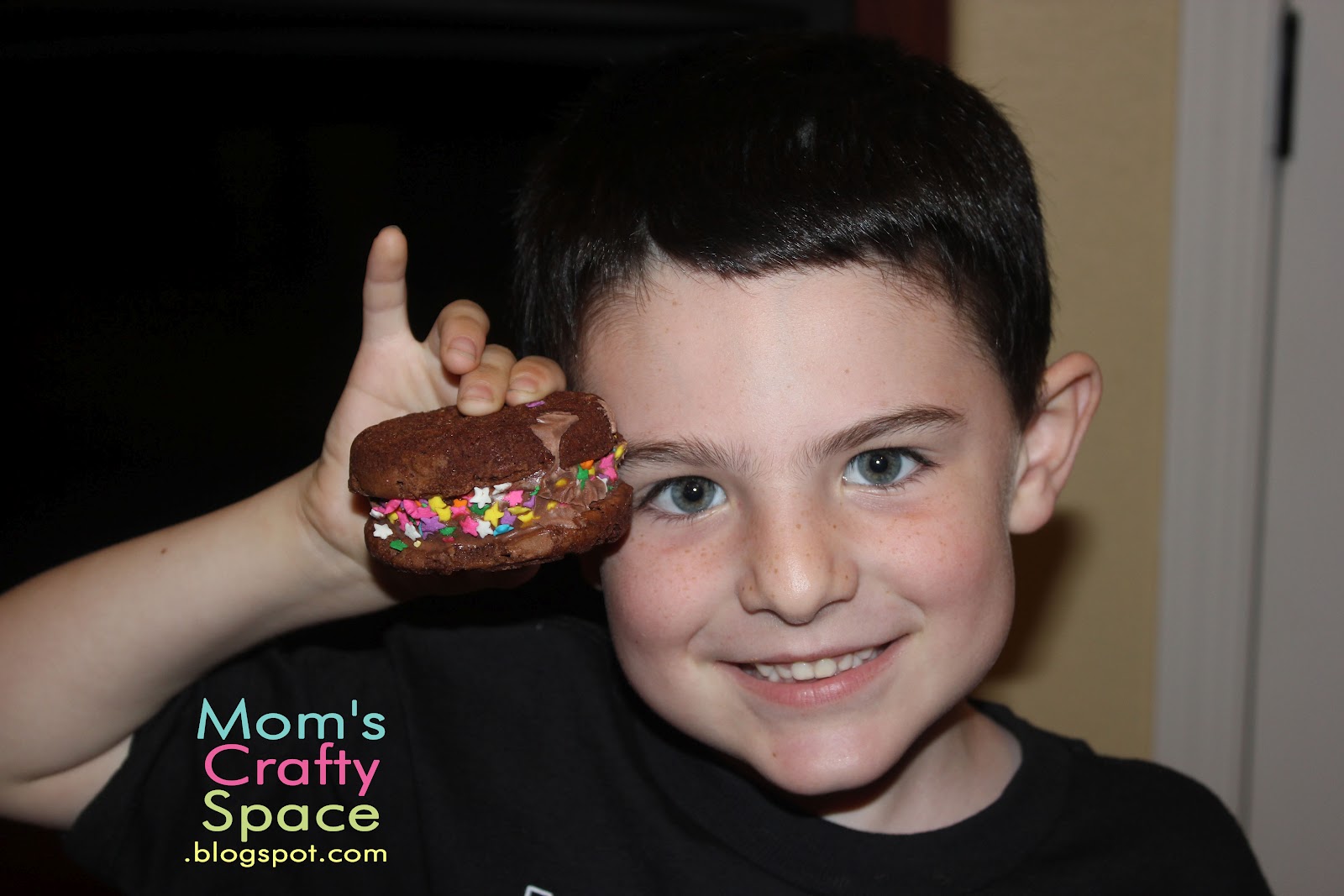 Ice Cream Sandwich Fun Happiness is Homemade